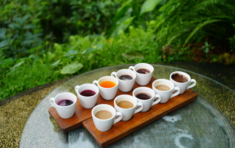 Ubud Highlights Day Tour