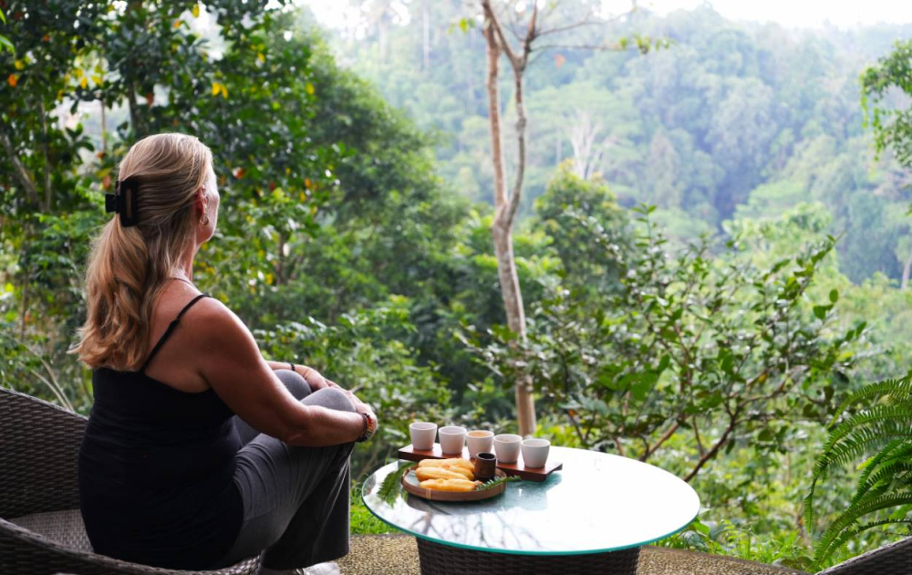 Ubud Highlights Day Tour