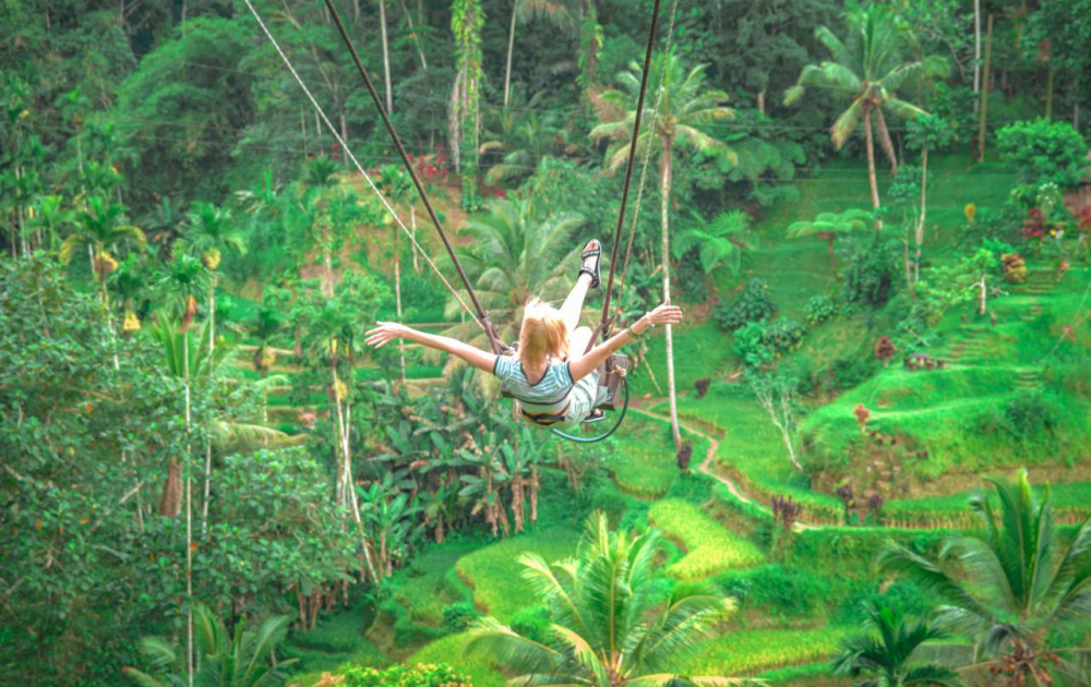 Ubud Highlights Day Tour