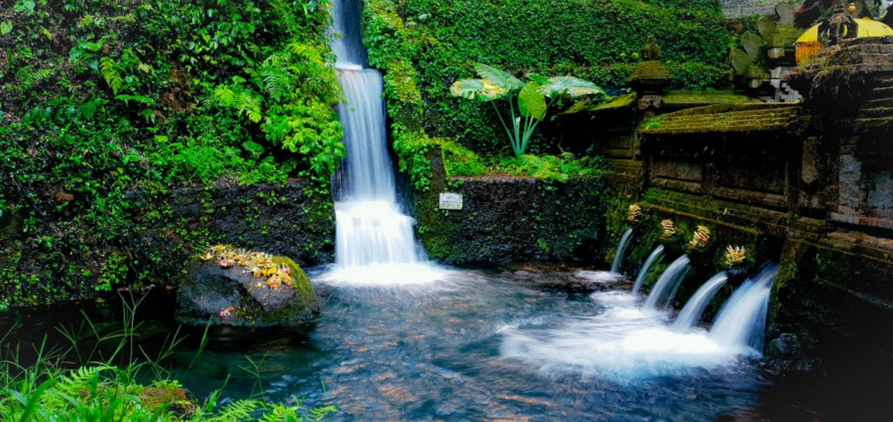 Ubud Highlights Day Tour