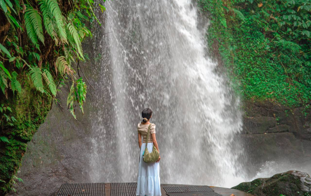 Ubud Highlights Day Tour