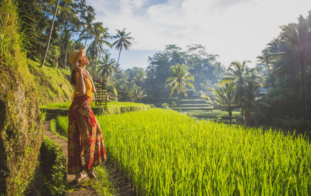 Ubud Highlights Day Tour